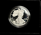 2023 - American Eagle One Dollar - Proof - Silver 1 Oz 999 Coin - Box & COA