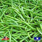 Bean Seeds - Bush - Slenderette Non-GMO Heirloom Garden