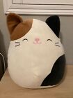 squishmallow 12 inch cam the cat