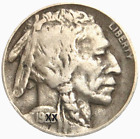 1 Buffalo Nickel Indian Head 5 Cent 1913-1938 Random Date US Mint [Circulated]