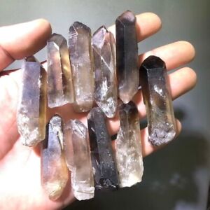 10 pcs Lot Smokey Morion Quartz Earth Mined Mineral Specimen Crystal Points