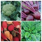 14 Pack Lot - Cold Weather Veggie Seeds - Brussels Sprouts, Broccoli, and More!