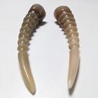 A Lot of Two High Glossy Polished Exotic Goat Horn Creamy Brown 5.5