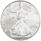 Roll of 2023 $1 Silver Eagle CACG MS70 (First Delivery, 20 Coins)