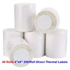 40 Rolls 250 Direct Thermal Shipping Labels 4x6 For Zebra LP2844 ZP450 Eltron