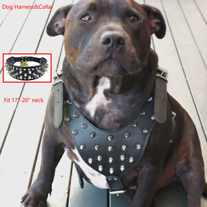 Spiked Studded PU Leather Dog Harness & Collar Set Pitbull Large Breed Bulldog