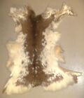 New ListingRare Piebald Whitetail Deer Hide (Hair-On) Professionally Tanned by Taxidermy.