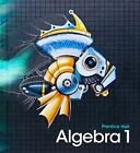 High School Math 2011 Algebra 1 by Prentice Hall