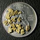 Alaska Gold Nuggets 1 gram - beautiful, natural, 10 mesh Alaska gold !