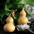 20x Natural Bottle Gourds W+ Vine Dry Calabash Cucurbit Gourd Craft DIY Decor