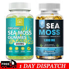 Organic Irish Sea Moss, Bladderwrack & Burdock, Thyroid & Immune Support Gummy