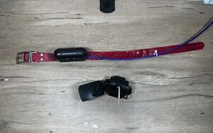 Garmin DC40 GPS Dog Tracking Collar & Charger for Astro220/320 USA Ver Red Strap