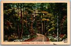 Amanda Ohio 1943 Greetings Postcard Road Trees Fairfield County