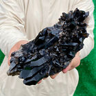 2.6LB Natural Beautiful Black Quartz Crystal Cluster Mineral Specimen Rare