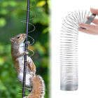 Squirrel-Proof Spring Device Metal Squirrel Barrier Coil Bird Feeder Pole🦐