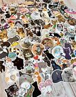 20pcs CATS stickers, Kitten, animals, Cute cats FREE Shipping*