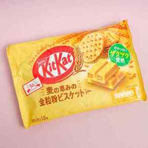 Kit Kat Whole Wheat Flavor Chocolate Biscuit Sticks Japan Exclusive