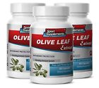 Blood Pressure Support - Olive Leaf Extract 500mg - Powerful Antioxidant 3B