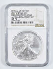 2007-W Burnished Annual Set - American Silver Eagle MS70 NGC