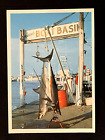 New ListingPostcard Montauk Marine Boat Basin Long Island NY Fishing Mako Sharks Esso Sign