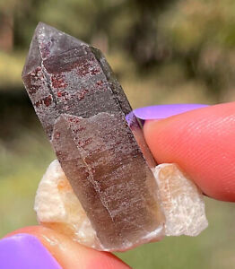 Smoky Quartz Crystal On Microcline Pikes Peak, Colorado  3.6 Cms :}