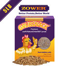 5 LB Dried BSF Mealworms High Protein Bulk Sale Non-GMO For Chickens BLUE BIRDS
