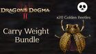 Dragons Dogma 2 Items XBOX 🔥 Carry Weight Bundle - Competitive Pricing