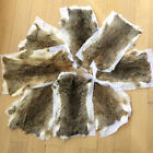 5X Real Rabbit Skin Pelts Natural Animal Fur Hides Soft Tanned Leather Craft DIY