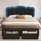 Full Queen Size Bed Frame with LED Light Headboard 2 Drawers Flowers Upholstered