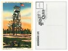 Fire Warden Tower at the Top of Blue Mountain Adirondacks Postcard New