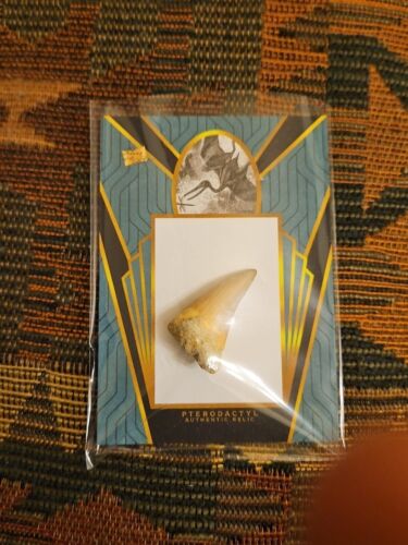 PTERODACTYL 2023 PIECES OF THE PAST TOOTH FOSSIL RARE RELIC CARD DINOSAUR