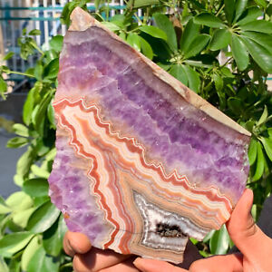 387G Natural agateAmethystsymbiosis Crystal Rough stone specimens cure