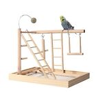 Parrot Playstand Bird Playground Wood Perch Gym Playpen with Ladder Swing - P...