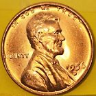 1956 D RD Lincoln Wheat Cent Copper Penny. Nice & Red. Great Price. Free Ship!