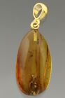 Large MUSCOID FLY Genuine BALTIC AMBER Gold Plated Silver Pendant 2.7g 190926-56