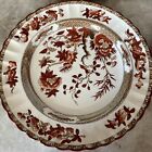 1 Spode 10” 10 3/8” Copeland Indian Tree Dinner Plates Old Mark 1pc