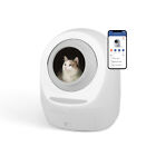 Leo's Loo Too by Casa Leo - Self-Cleaning Cat Litter Box: Certified Refurbished