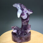 New Listing77g Natural Crystal.Dream amethyst.Hand-carved.Exquisite dolphin healing.gift