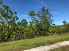 0.31 Acre Central Florida Land Lot Near Lake Wales, FL Bidding on Full Price! NR