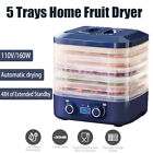 Dryer Dehydrators Electric Machine for Meat Herbs Vegetables Beef Jerky Fruits