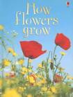 How Flowers Grow (Usborne Beginners, Level 1) - Hardcover - GOOD
