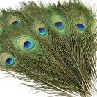 iHUFeather 10PCS Real Natural Peacock Eye Feathers 10-12 inch for DIY Craft F...