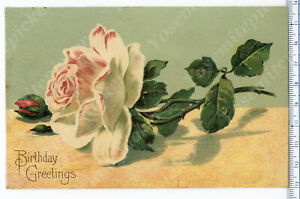 a9  Postcard early 1900's Birthday Rose to 