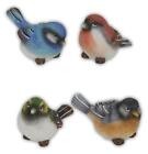 Set of 4 COLORFUL BIRDS 2.75