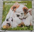 2024 Bulldog Puppies Monthly Wall Calendar Bright Day 12
