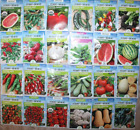 130 UNIQUE packs of garden seeds fresh 130 varieties (12/23) non-GMO vegetable