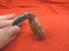 y-bir-to-43) little red gray Toucan tropical bird soapstone carving love toucans