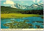 Paradise Peak On Alaska's Kenai Peninsula South Central Anchorage AK Postcard
