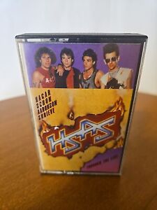New ListingHSAS Cassette Tape THROUGH THE FIRE 1984 Rock AOR HAGAR SCHON Rare