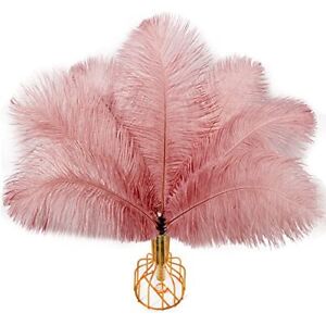 20Pcs Dirty Pink Ostrich Feathers Natural Bulk 10-12Inch 25-30Cm for Wedding Par